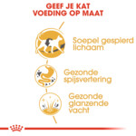 Royal Canin Kattenvoer Droog Siamees Adult 2 kg