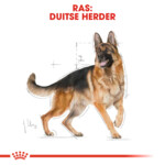 Royal Canin Hondenvoer Droog German Shepherd Adult 3 kg