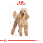 Royal Canin Hondenvoer Droog Poodle Adult 7,5 KG