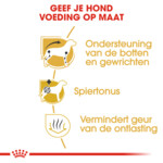 Royal Canin Dachshund Adult Hondenvoer 1,5 kg