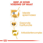 Royal Canin Boxer Adult Hondenvoer 12 kg
