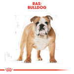 Royal Canin Hondenvoer Droog English Bulldog Adult 3 kg