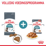 Royal Canin Kattenvoer Droog Hairball Care 2 kg