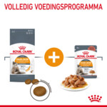 Royal Canin Kattenvoer Droog Hair and Skin 10 kg