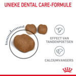 Royal Canin Dental Care Kattenvoer 3.5 kg