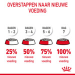 Royal Canin Kattenvoer Droog Dental Care 8 kg