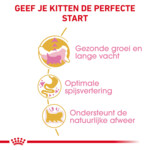 Royal Canin Kattenvoer Droog Persian Kitten 400 gr