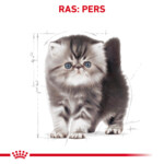 Royal Canin Kattenvoer Droog Persian Kitten 10 kg