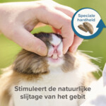 4x Beaphar Care+ Chinchilla - 44.84 euro