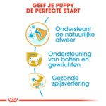 Royal Canin Hondenvoer Droog Dachshund Puppy 1,5 kg