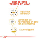 Royal Canin Hondenvoer Droog Chihuahua Adult 500 gr