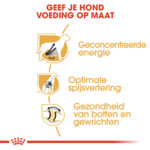 Royal Canin Great Dane Adult Hondenvoer 12 kg
