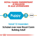 Royal Canin Hondenvoer Droog English Bulldog Puppy 3 kg
