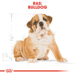 Royal Canin Hondenvoer Droog English Bulldog Puppy 3 kg
