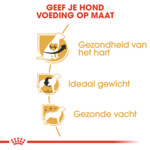 Royal Canin Hondenvoer Droog Cavalier KC Adult 1,5 kg