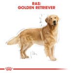 Royal Canin Hondenvoer Droog Golden Retriever Adult 3 kg