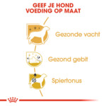 Royal Canin Poodle Adult Hondenvoer 1.5 kg