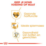 Royal Canin Rottweiler Adult Hondenvoer 12 kg