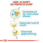 Royal Canin Hondenvoer Droog Shih Tzu Puppy 1,5 kg