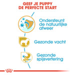 Royal Canin Hondenvoer Droog Yorkshire Terrier Puppy 1,5 kg
