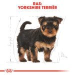 Royal Canin Hondenvoer Droog Yorkshire Terrier Puppy 1,5 kg