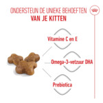 Royal Canin Kattenvoer Droog Kitten 10 kg