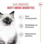 Royal Canin Kattenvoer Droog Kitten 2 kg