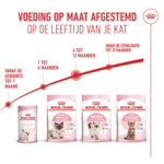Royal Canin Kattenvoer Droog Kitten 2 kg