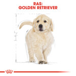 Royal Canin Hondenvoer Droog Golden Retriever Puppy 3 kg