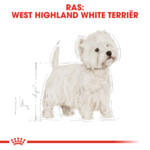 Royal Canin Hondenvoer Droog West Highland White Terrier Adult 1,5 kg