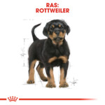 Royal Canin Hondenvoer Droog Rottweiler Puppy 3 kg