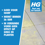 HG Groene Aanslagreiniger - 9.29 euro