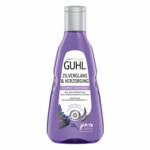Guhl Zilverglans &amp; Verzorging Shampoo  250 ml