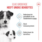 Royal Canin Hondenvoer Droog Mother & Baby Mini Starter 1 kg