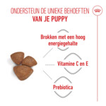 Royal Canin Hondenvoer Droog Mother & Baby Mini Starter 1 kg