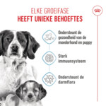 Royal Canin Hondenvoer Droog Mother & Baby Medium Starter 1 kg