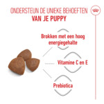 Royal Canin Hondenvoer Droog Mother & Baby Medium Starter 1 kg