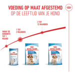 Royal Canin Hondenvoer Droog Mother & Baby Medium Starter 4 kg