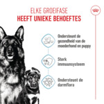 Royal Canin Hondenvoer Droog Mother & Baby Maxi Starter 4 kg