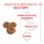 Royal Canin Hondenvoer Droog Mother & Baby Maxi Starter 4 kg