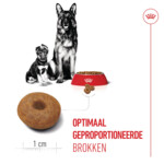 Royal Canin Hondenvoer Droog Mother & Baby Maxi Starter 4 kg