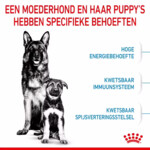 Royal Canin Maxi Starter Mother & Baby Hondenvoer 15 kg