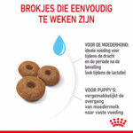 Royal Canin Maxi Starter Mother & Baby Hondenvoer 15 kg