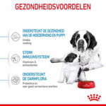 Royal Canin Giant Starter Mother & Baby Hondenvoer 15 kg