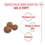 Royal Canin Hondenvoer Droog Medium Puppy 10 kg