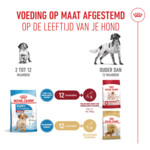 Royal Canin Hondenvoer Droog Medium Puppy 10 kg