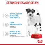 12x Royal Canin Mother & Baby Mousse Hondenvoer Nat 195 gr