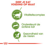 Royal Canin Kattenvoer Droog Outdoor 7+ 2 kg