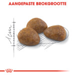 Royal Canin Kattenvoer Droog Outdoor 7+ 2 kg