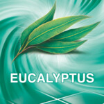 2x Ajax Allesreiniger Eucalyptus - 18.49 euro